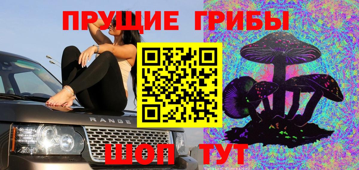 Нововоронеж  Галлюциногенные грибы Psilocybe  Вход с VPN 