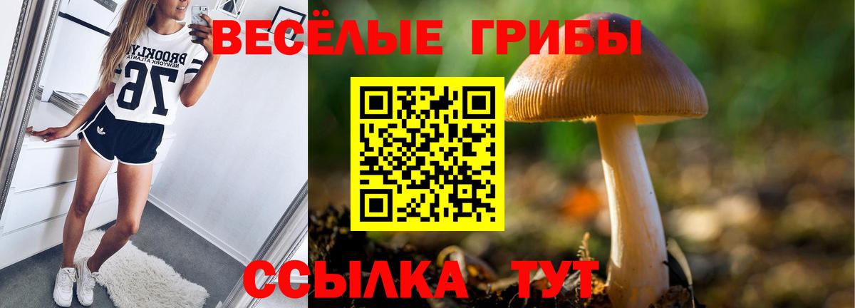 APVP СК   ЭКСТАЗИ  Вход с VPN  Марихуана  Мефедрон  КОКАИН  МЕФ   Нововоронеж  ГАШИШ  ГАШ 